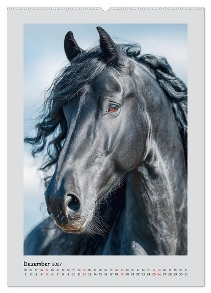 Produktbild: Friesenpferde. Schwarze Eleganz in der Natur (Wandkalender 2027 DIN A2 hoch), CALVENDO Monatskalender