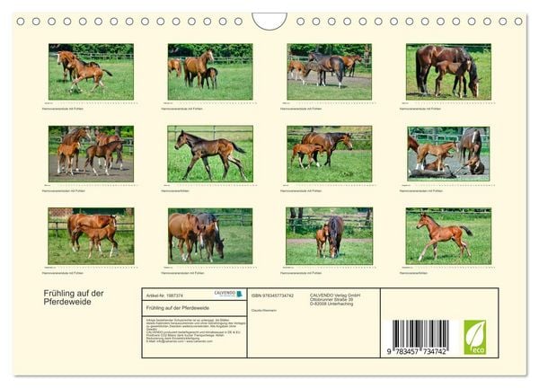Produktbild: Fr&uuml;hling auf der Pferdeweide (Wandkalender 2026 DIN A4 quer), CALVENDO Monatskalender