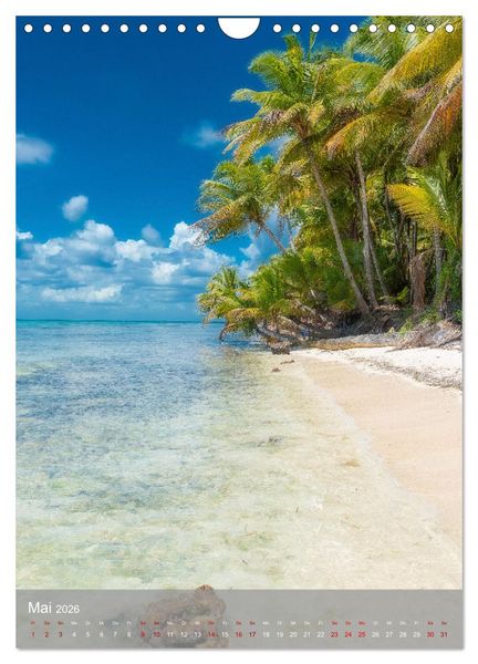 Produktbild: Karibischer Traum Isla Saona (Wandkalender 2026 DIN A4 hoch), CALVENDO Monatskalender
