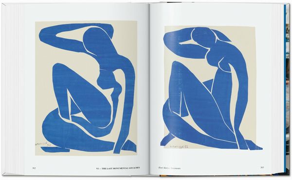 Produktbild: Matisse