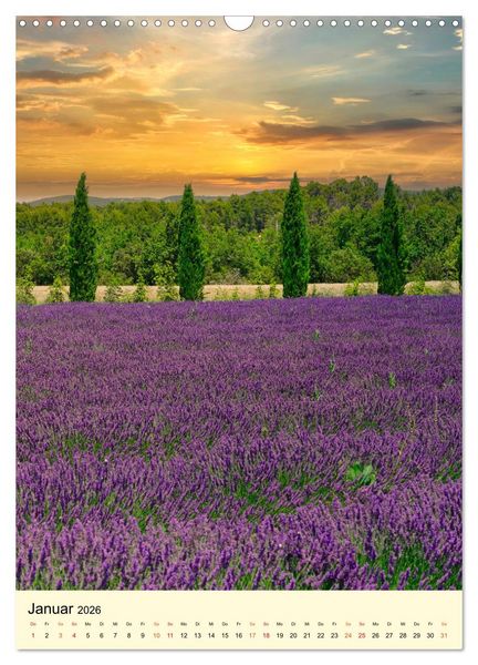 Produktbild: Provence Lavendel Paradies (Wandkalender 2026 DIN A3 hoch), CALVENDO Monatskalender