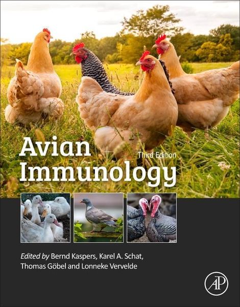 Produktbild: Avian Immunology