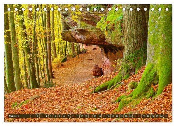 Produktbild: Der Altschlossfelsen - Gr&ouml;&szlig;te Felsformation der Pfalz im herbstlichen Farbspiel (Tischkalender 2026 DIN A5 quer), CALVENDO Monatskalender
