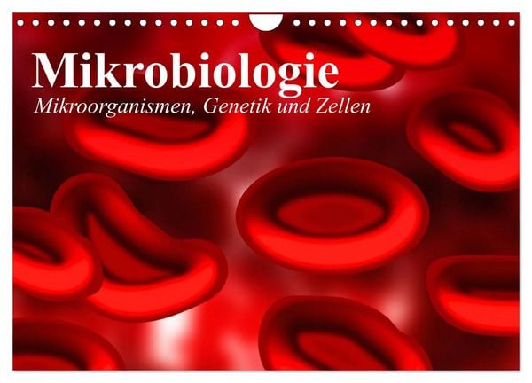 Produktbild: Mikrobiologie. Mikroorganismen, Genetik und Zellen (Wandkalender 2026 DIN A4 quer), CALVENDO Monatskalender