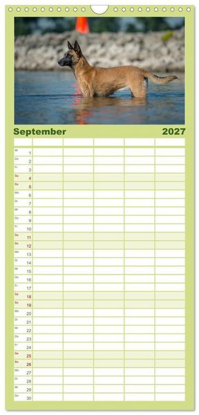 Produktbild: Familienplaner 2027 - Belgischer Sch&auml;ferhund - Der Malinois in Action mit 5 Spalten (Wandkalender, 21 x 45 cm) CALVENDO