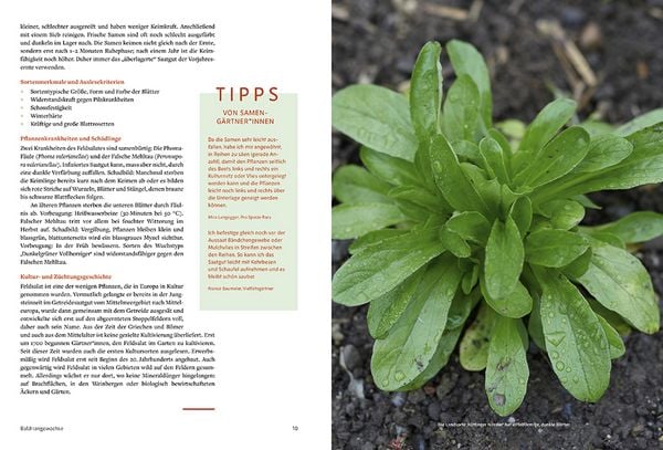 Produktbild: Handbuch Sameng&auml;rtnerei