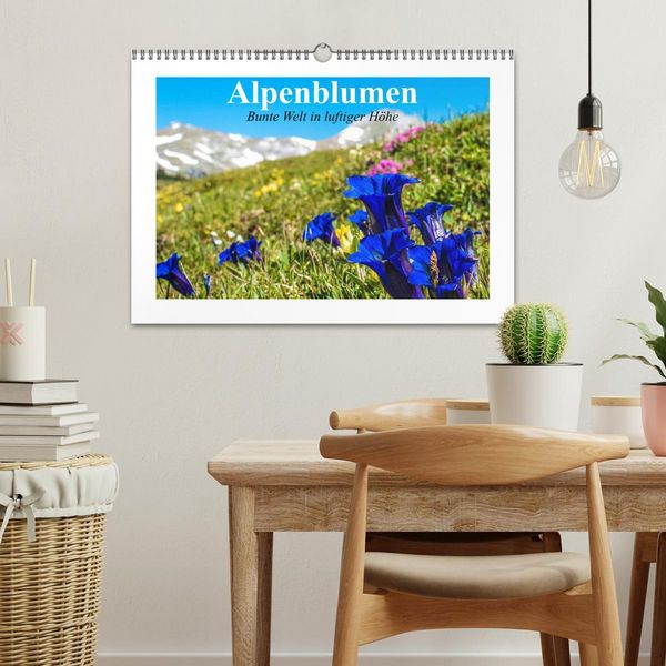 Produktbild: Alpenblumen. Bunte Welt in luftiger H&ouml;he (Wandkalender 2026 DIN A3 quer), CALVENDO Monatskalender