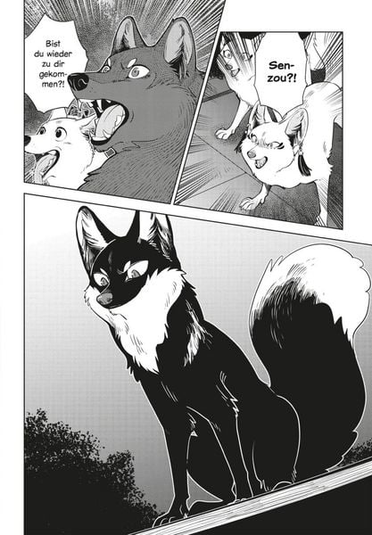 Produktbild: Der Fuchs und der kleine Tanuki 6