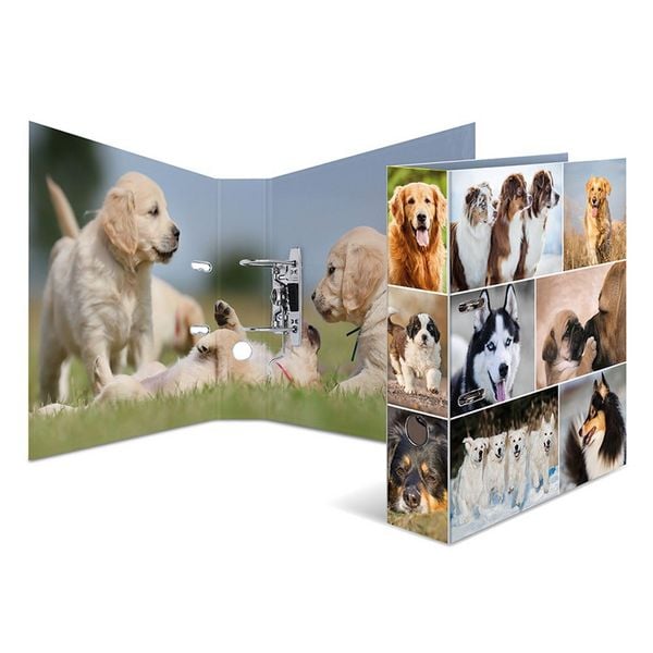 HERMA Motivordner Animals Motiv Hunde DIN A4 Rückenbreite 7cm