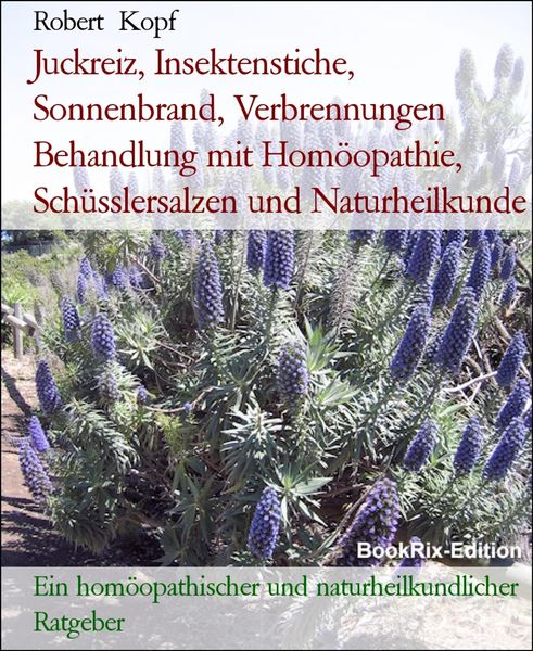 Produktbild: Juckreiz, Insektenstiche, Sonnenbrand, Verbrennungen Behandlung mit Hom&ouml;opathie, Sch&uuml;sslersalzen und Naturheilkunde