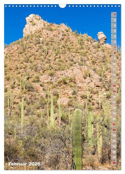 Produktbild: SAGUARO NATIONAL PARK W&uuml;stenimpressionen aus Arizona (Wandkalender 2026 DIN A3 hoch), CALVENDO Monatskalender