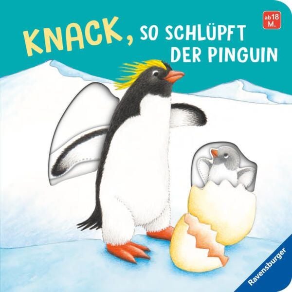 Knack, so schlüpft der Pinguin, Gebundene Ausgabe von Frauke Nahrgang, Ravensburger Verlag GmbH