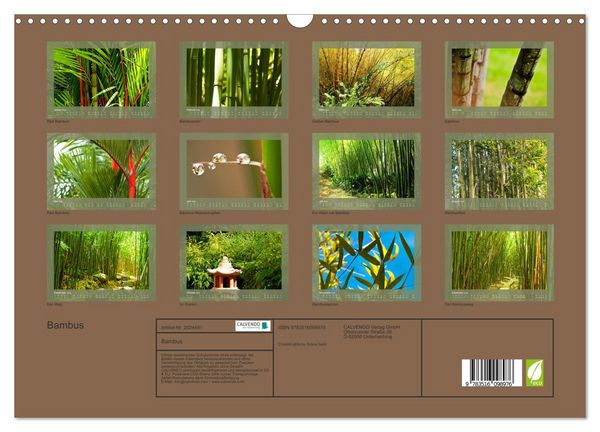 Produktbild: Bambus (Wandkalender 2026 DIN A3 quer), CALVENDO Monatskalender