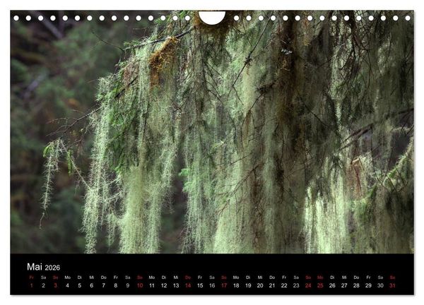 Produktbild: FASZINATION ALASKA Expedition durch die Inside Passage (Wandkalender 2026 DIN A4 quer), CALVENDO Monatskalender