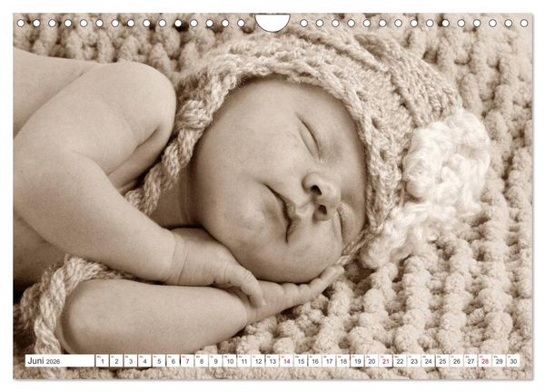 Produktbild: Babys - Willkommen im Leben (Wandkalender 2026 DIN A4 quer), CALVENDO Monatskalender