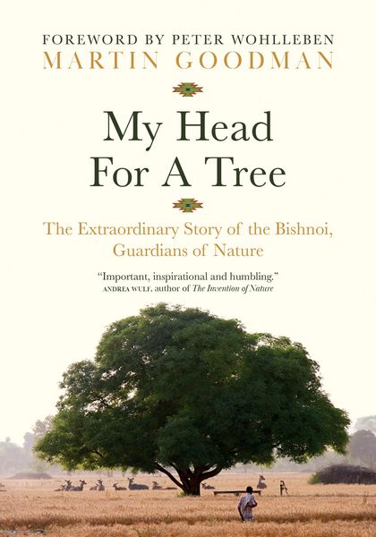 Produktbild: My Head for a Tree