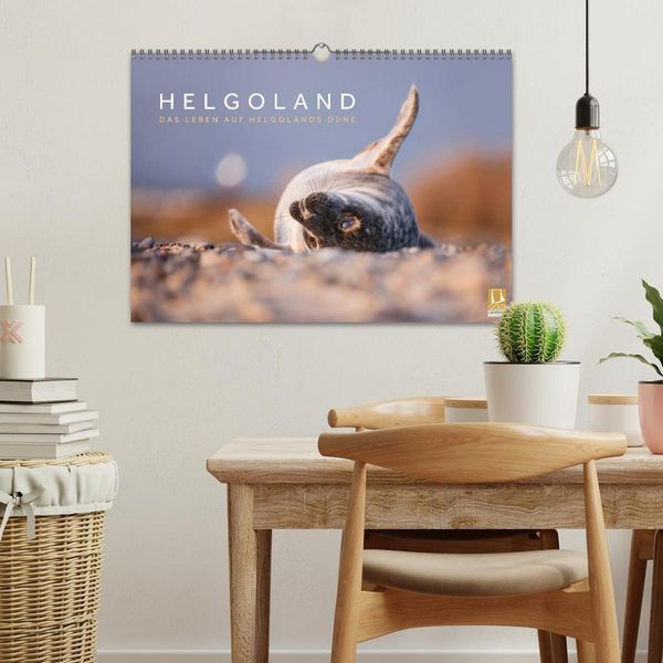 Produktbild: Helgoland - Das Leben auf der D&uuml;ne Helgolands (Wandkalender 2026 DIN A3 quer), CALVENDO Monatskalender
