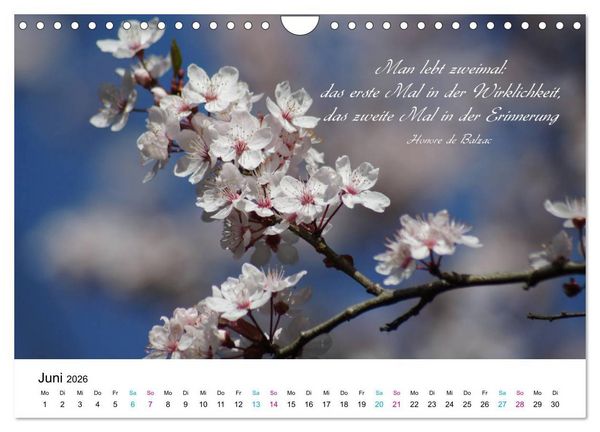Produktbild: Zeit f&uuml;r Trauer - begleitet mit Zitaten (Wandkalender 2026 DIN A4 quer), CALVENDO Monatskalender
