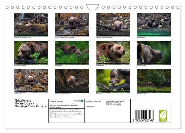 Produktbild: Grizzlys und Geisterb&auml;ren - Glendale Cove, Kanada (Wandkalender 2027 DIN A4 quer), CALVENDO Monatskalender