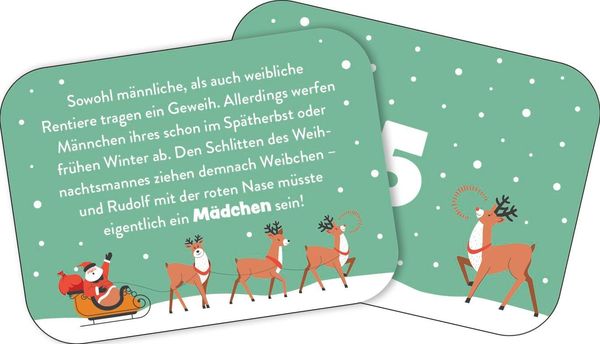 24 x cooles Weihnachtswissen für Kinder
