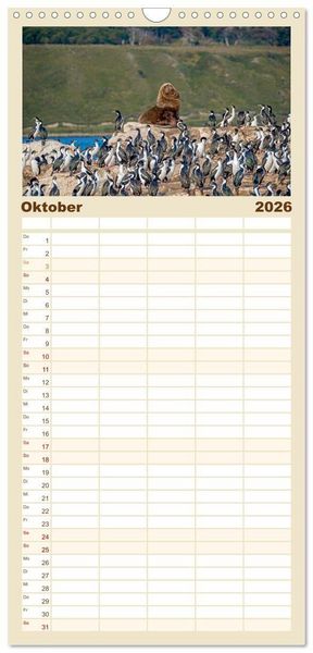 Produktbild: Familienplaner 2026 - Patagonien, Tierra del Fuego: Am Rand der Welt mit 5 Spalten (Wandkalender, 21 x 45 cm) CALVENDO