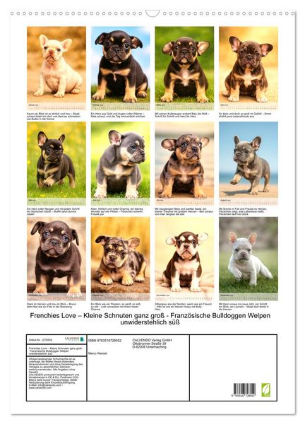 Produktbild: Frenchies Love &ndash; Kleine Schnuten ganz gro&szlig; - Franz&ouml;sische Bulldoggen Welpen unwiderstehlich s&uuml;&szlig; (Wandkalender 2026 DIN A2 hoch), CALVENDO Monatskalender