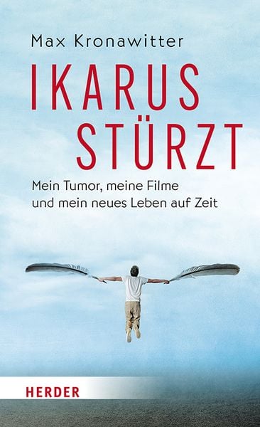Produktbild: Ikarus st&uuml;rzt