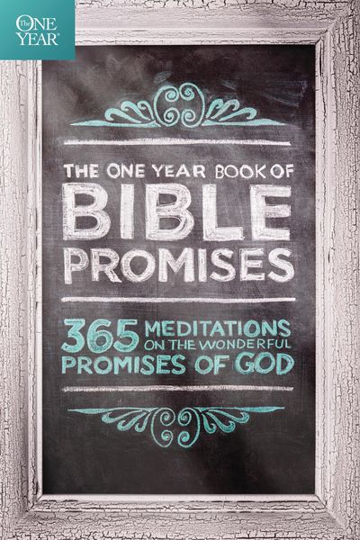 Produktbild: The One Year Book of Bible Promises