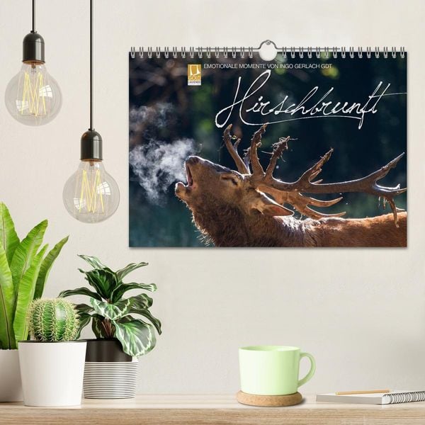 Produktbild: Emotionale Momente: Hirschbrunft (Wandkalender 2026 DIN A4 quer), CALVENDO Monatskalender