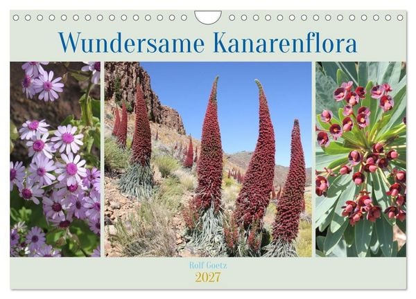Produktbild: Wundersame Kanarenflora (Wandkalender 2027 DIN A4 quer), CALVENDO Monatskalender