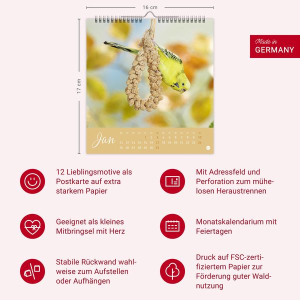 Produktbild: Freche Wellensittiche Postkartenkalender 2027