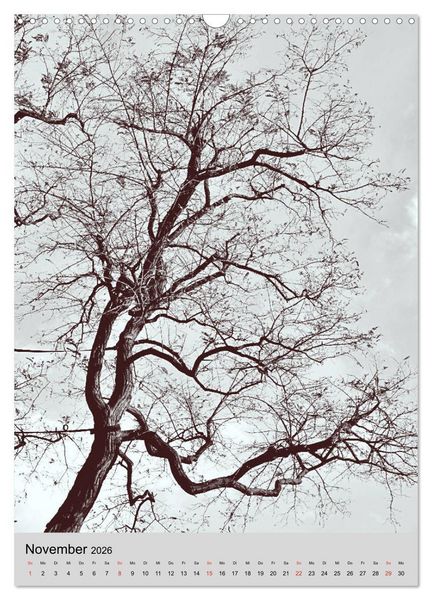 Produktbild: Natur monochrom Die besondere Wirkung (Wandkalender 2026 DIN A3 hoch), CALVENDO Monatskalender