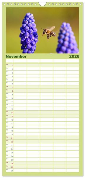 Produktbild: Familienplaner 2026 - Die Welt der flei&szlig;igen Bienen mit 5 Spalten (Wandkalender, 21 x 45 cm) CALVENDO