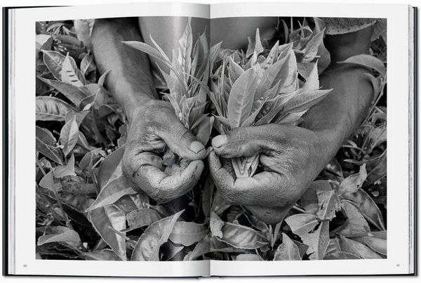 Produktbild: Sebasti&atilde;o Salgado. La main de l'homme. Une arch&eacute;ologie de l'&egrave;re industrielle
