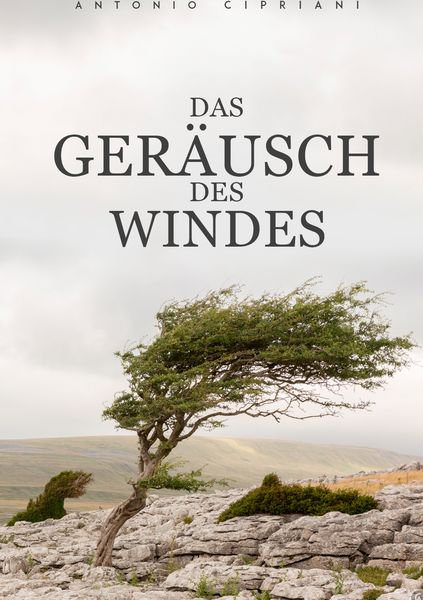Produktbild: Das Ger&auml;usch des Windes