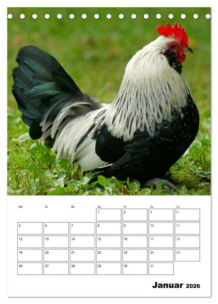Produktbild: H&uuml;hner Terminplaner (Tischkalender 2026 DIN A5 hoch), CALVENDO Monatskalender