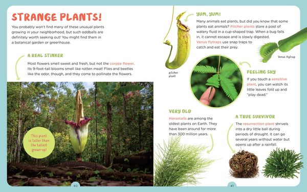 Produktbild: Publishing, E: Backpack Explorer: Discovering Plants and Flo