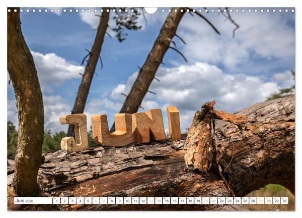 Produktbild: Holz, ein fantastischer Rohstoff. (Wandkalender 2026 DIN A3 quer), CALVENDO Monatskalender