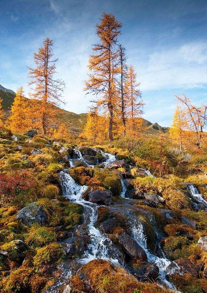 Produktbild: Vorarlberg