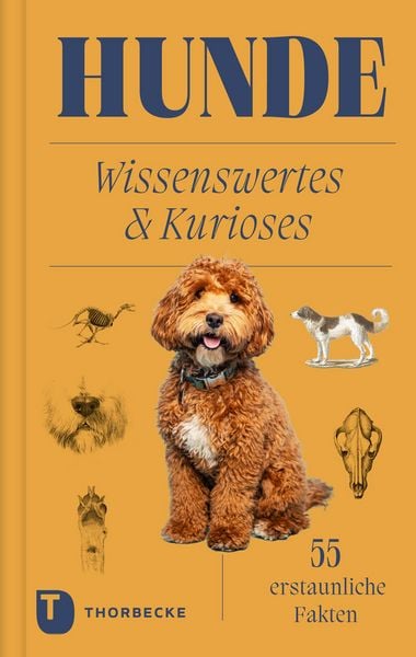 Produktbild: Hunde