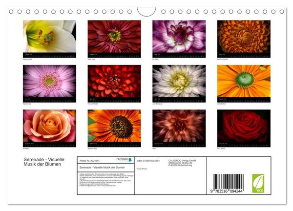 Produktbild: Serenade - Visuelle Musik der Blumen (Wandkalender 2026 DIN A4 quer), CALVENDO Monatskalender