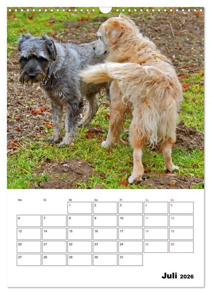 Produktbild: Hunde Freunde (Wandkalender 2026 DIN A3 hoch), CALVENDO Monatskalender