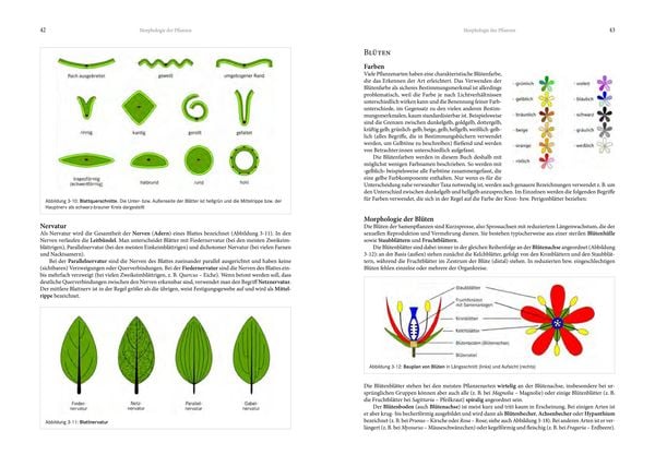 Produktbild: Alpenflora