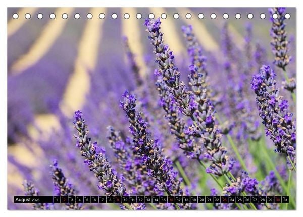 Produktbild: Provence (Tischkalender 2026 DIN A5 quer), CALVENDO Monatskalender