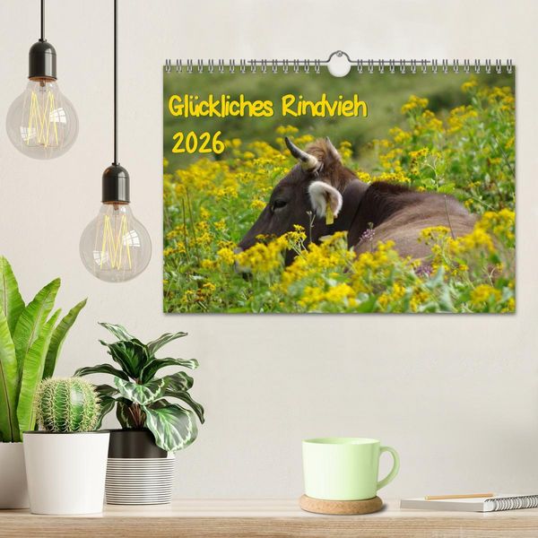 Produktbild: Gl&uuml;ckliches Rindvieh 2026 (Wandkalender 2026 DIN A4 quer), CALVENDO Monatskalender