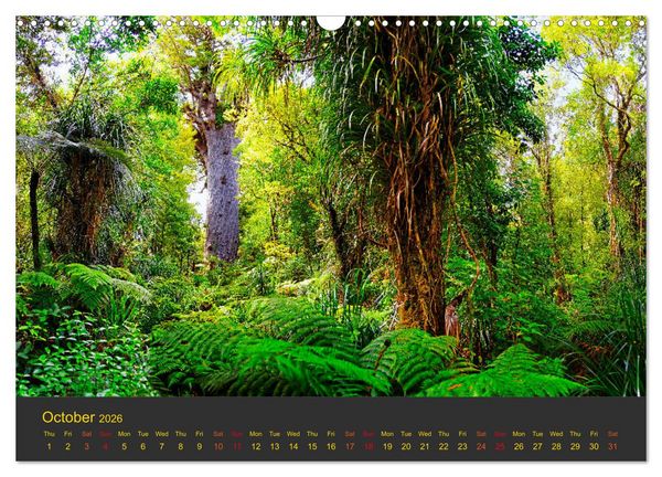 Produktbild: Spirit of New Zealand (Wall Calendar 2026 DIN A3 landscape), CALVENDO 12 Month Wall Calendar