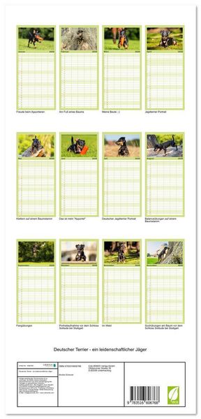 Produktbild: Familienplaner 2026 - Deutscher Terrier - ein leidenschaftlicher J&auml;ger mit 5 Spalten (Wandkalender, 21 x 45 cm) CALVENDO