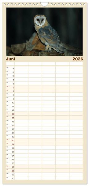 Produktbild: Familienplaner 2026 - Heimische Eulen und Greife mit 5 Spalten (Wandkalender, 21 x 45 cm) CALVENDO