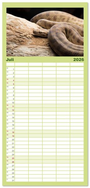 Produktbild: Familienplaner 2026 - Faszination Schlangen mit 5 Spalten (Wandkalender, 21 x 45 cm) CALVENDO