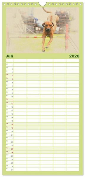 Produktbild: Familienplaner 2026 - Rhodesian Ridgeback 2026 mit 5 Spalten (Wandkalender, 21 x 45 cm) CALVENDO
